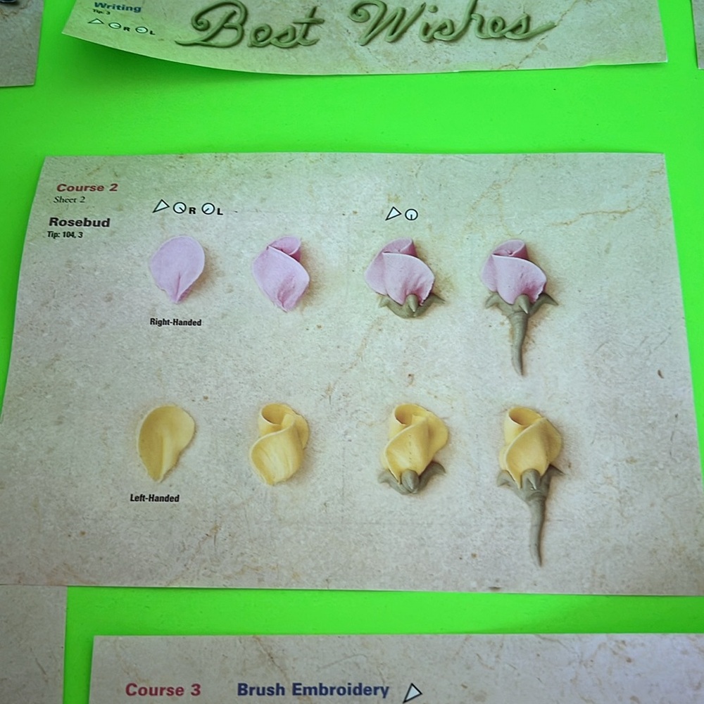 Wilton Cake Decorating Set Practice - Picture 7 of 10